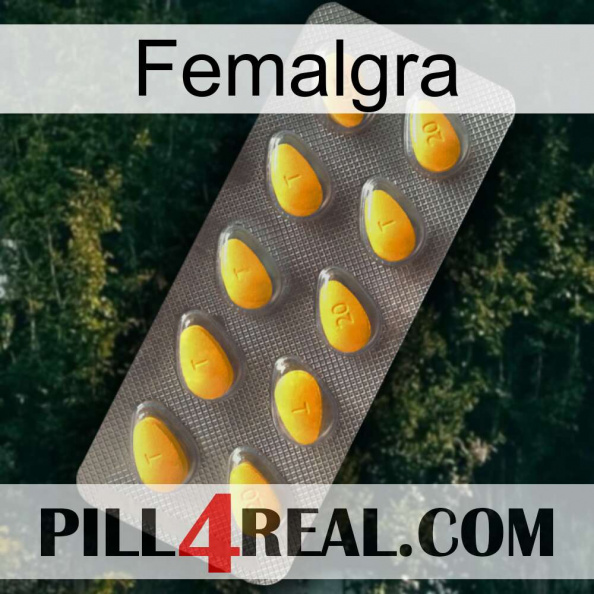 Femalgra cialis1.jpg